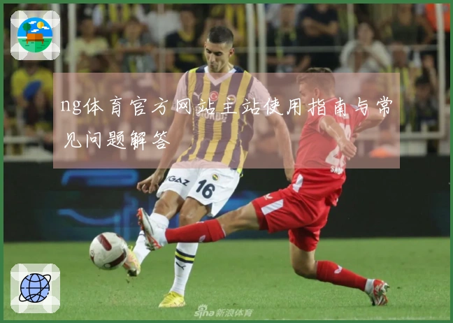 ng体育官方网站主站使用指南与常见问题解答