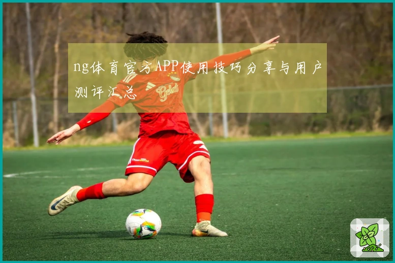 ng体育官方APP使用技巧分享与用户测评汇总
