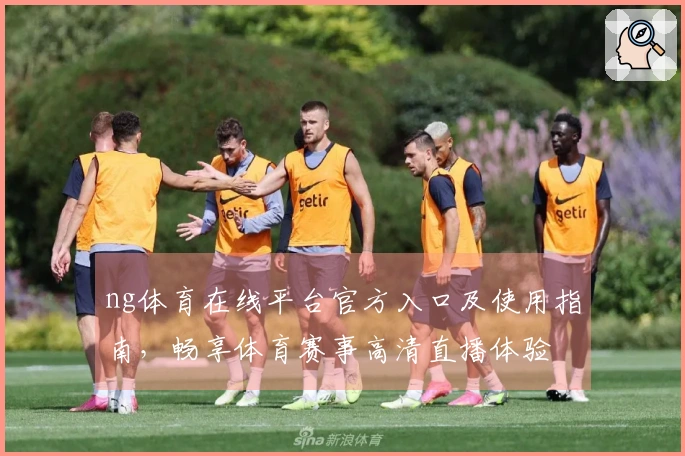 ng体育在线平台官方入口及使用指南，畅享体育赛事高清直播体验