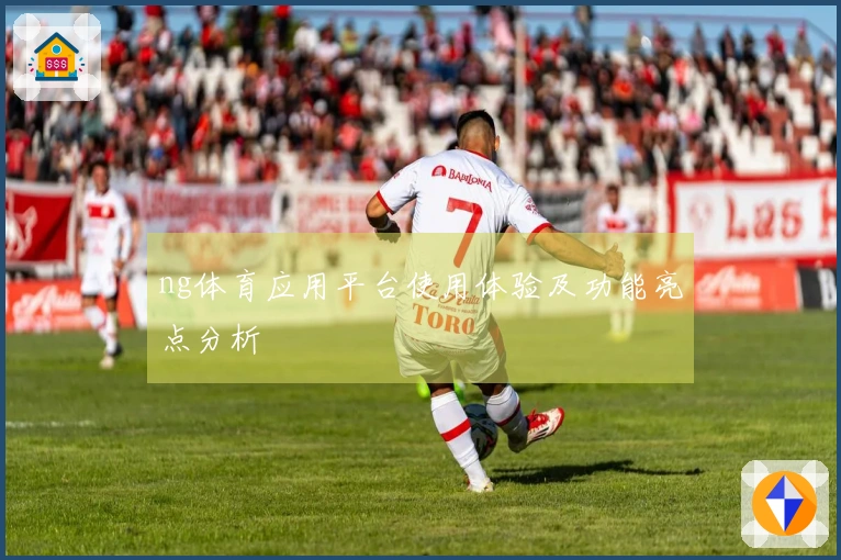 ng体育应用平台使用体验及功能亮点分析