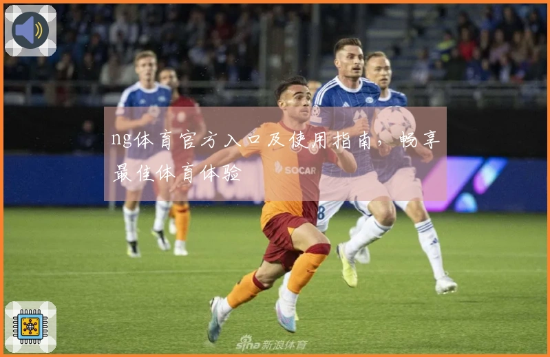 ng体育官方入口及使用指南,畅享最佳体育体验